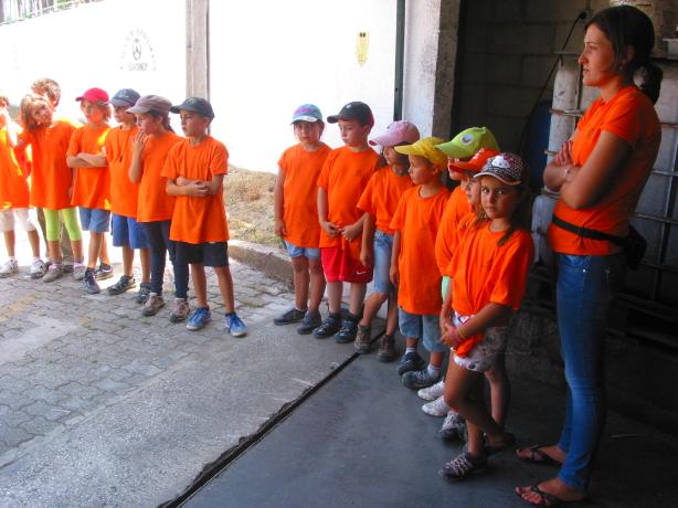 Karting Kids0