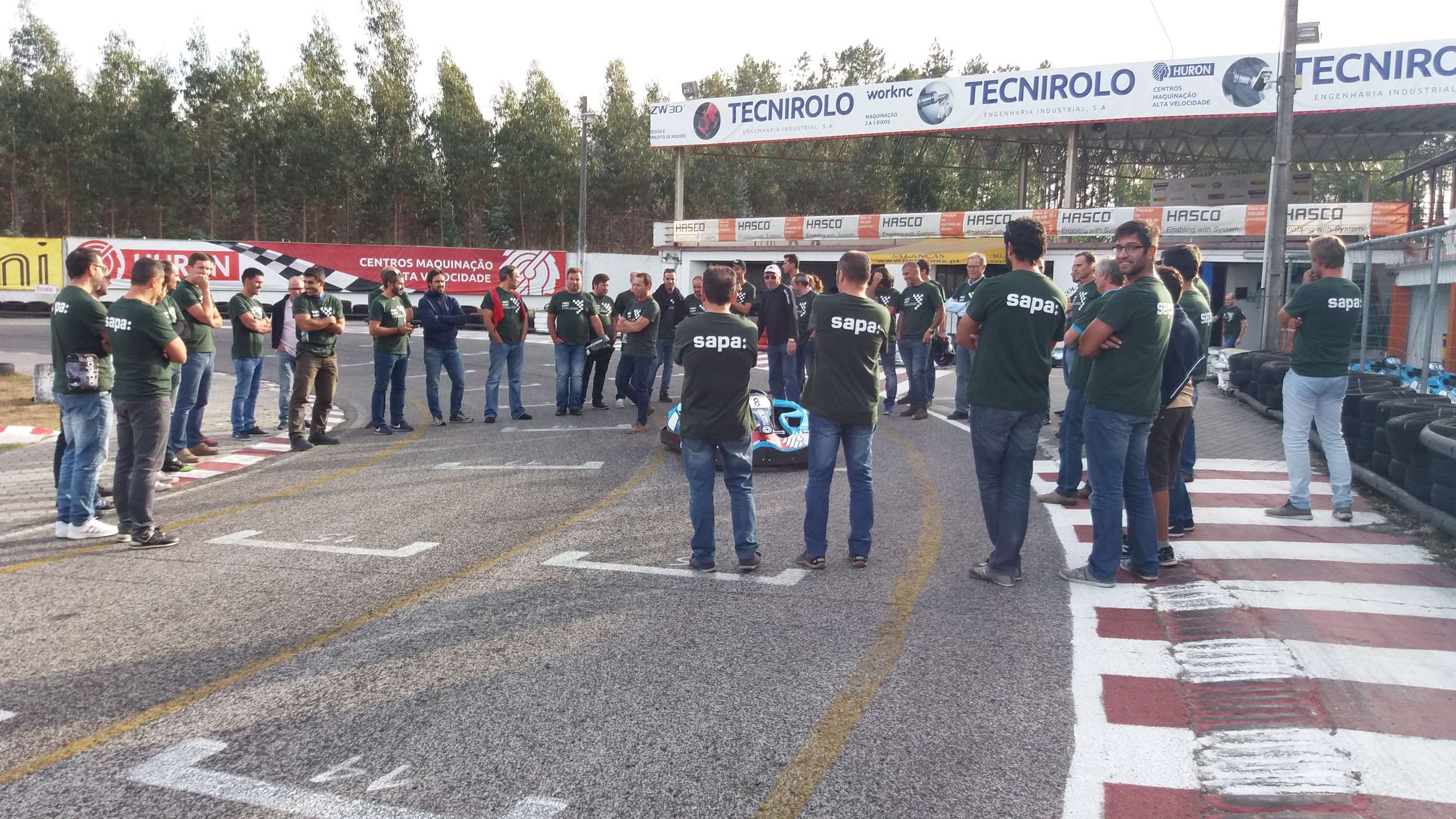 Sapa1