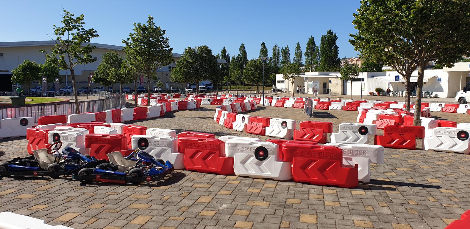 Dia da Mobilidade Elétrica - Torres Vedras 20193