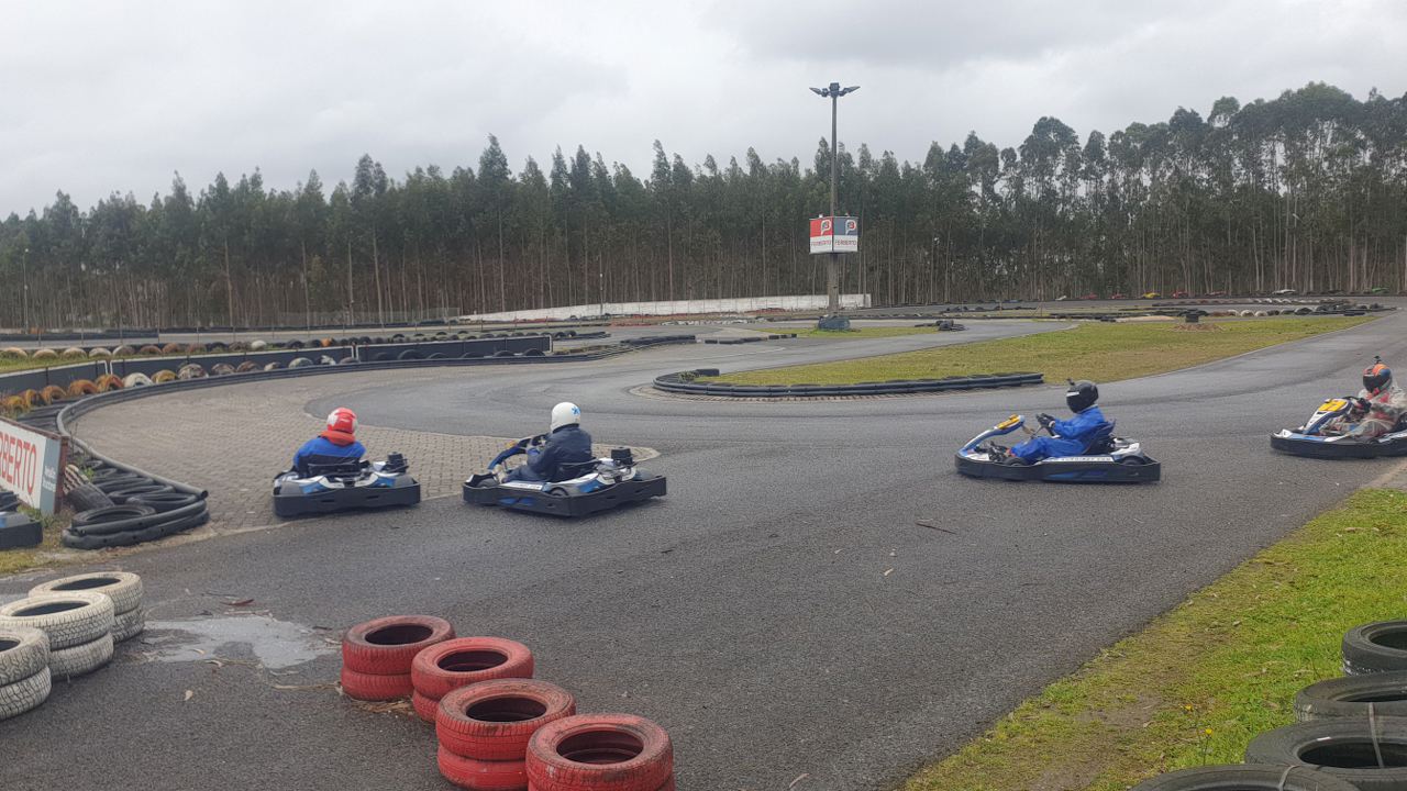 ARDKART6