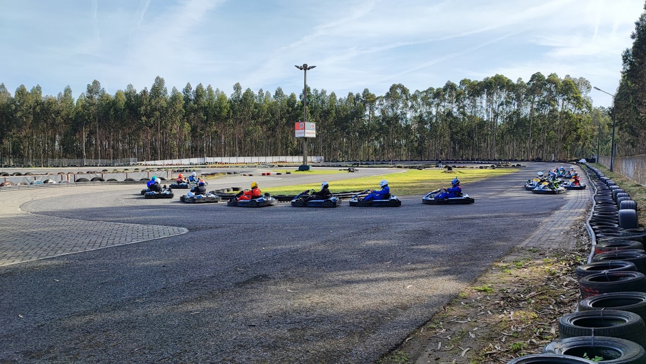 Linksport- PRO - GOLD - PREMIUM15