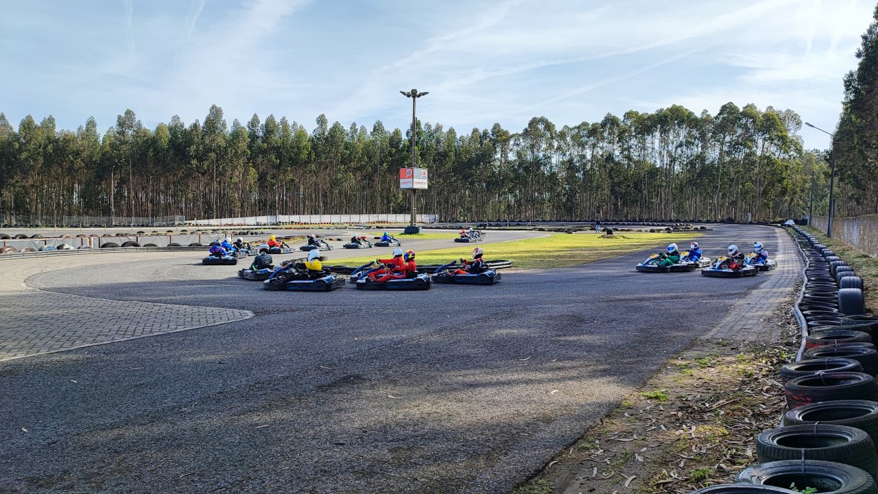 Linksport- PRO - GOLD - PREMIUM16