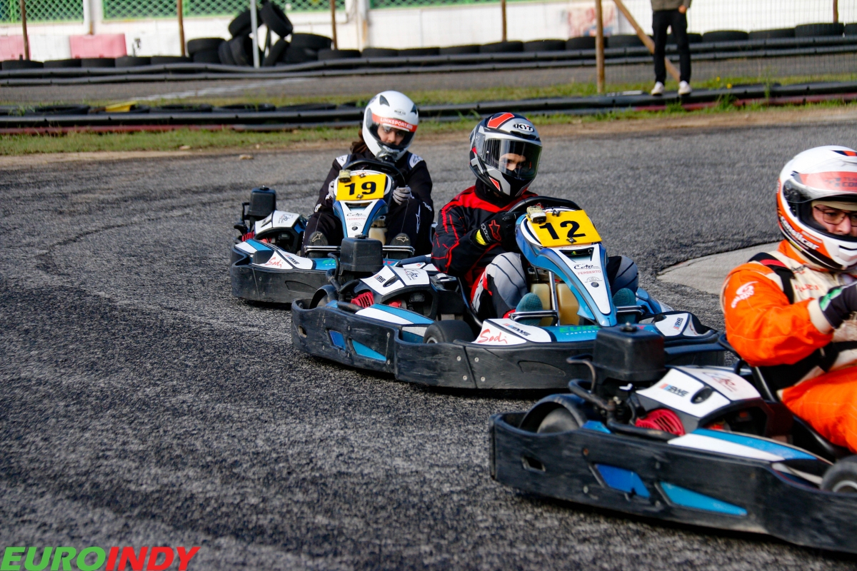 Linksport - Gold - Premium - Pro - Silver56