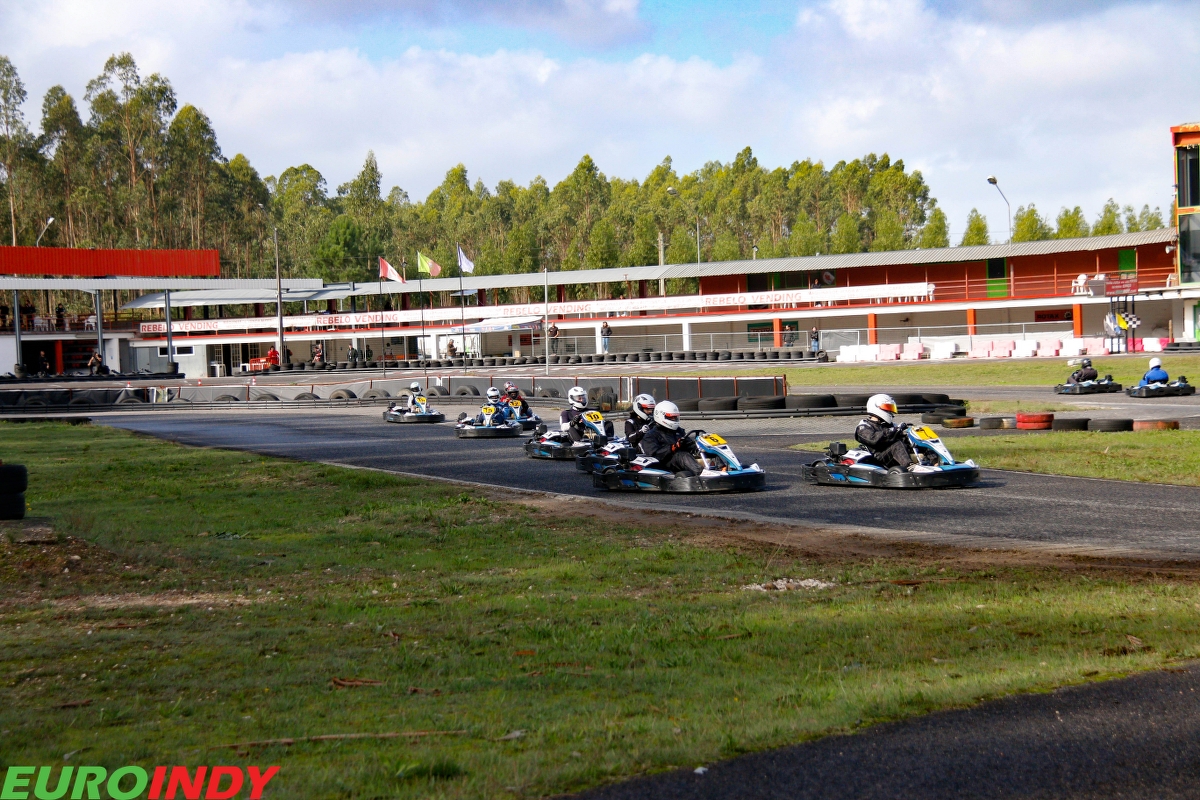 Linksport - Gold - Premium - Pro - Silver79