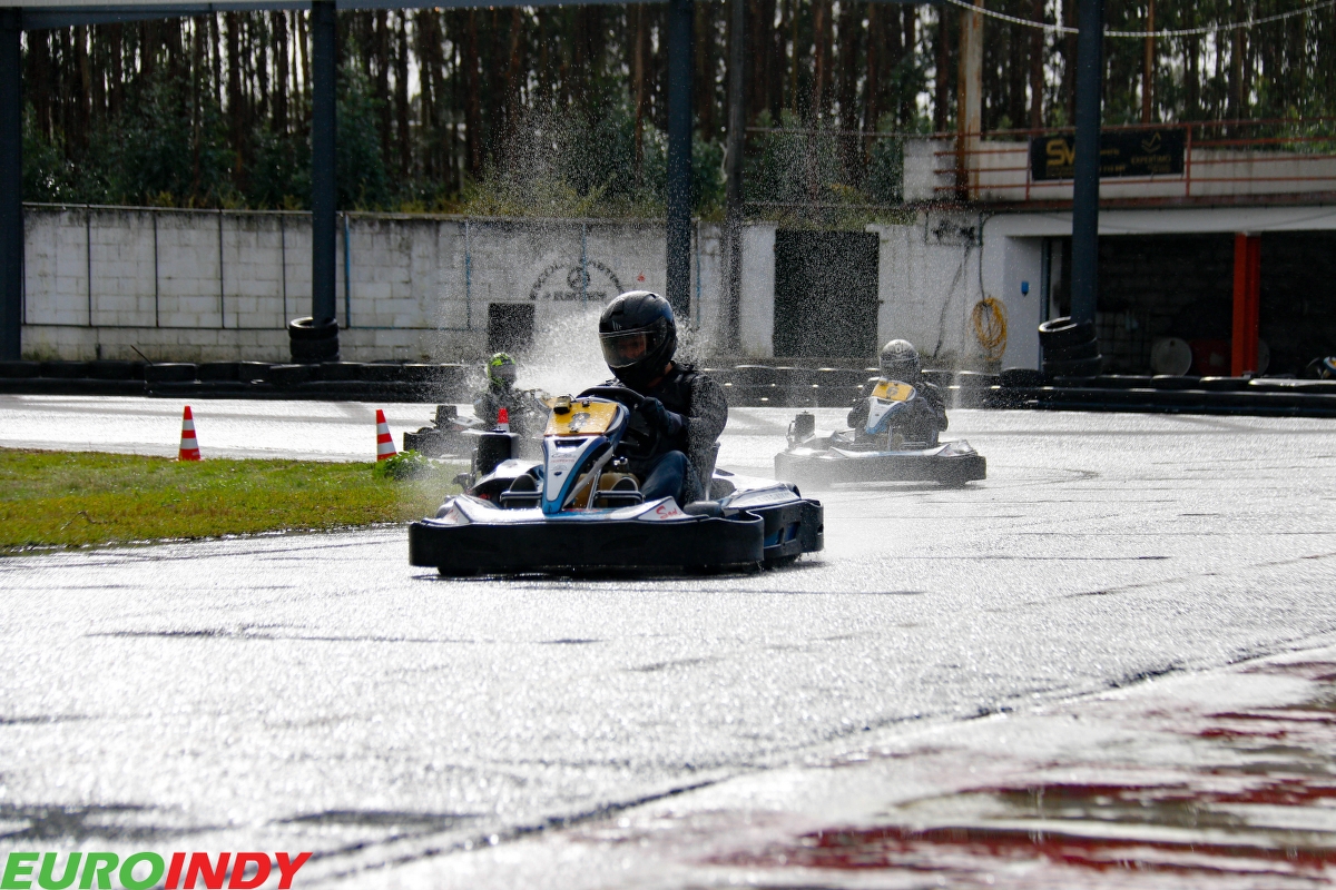 Linksport - Gold - Premium - Pro - Silver101