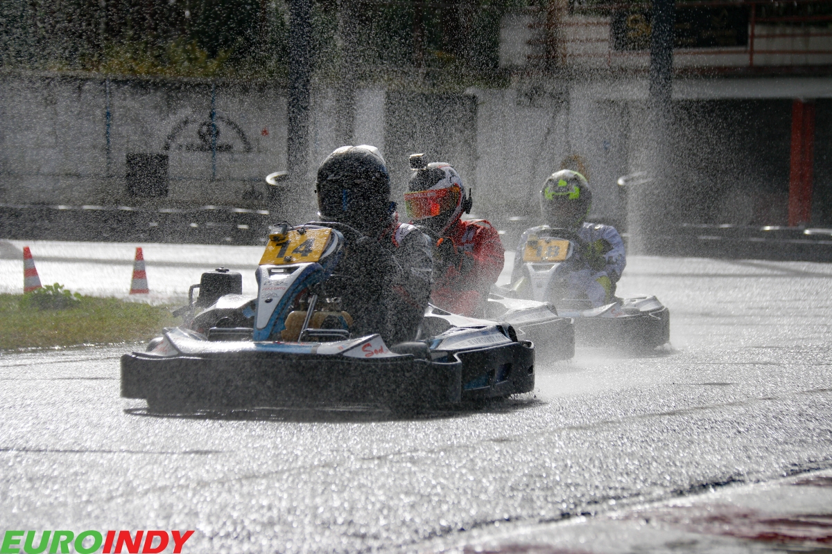 Linksport - Gold - Premium - Pro - Silver104