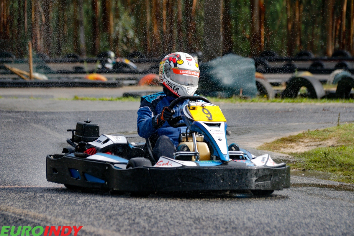 Linksport - Gold - Premium - Pro - Silver138