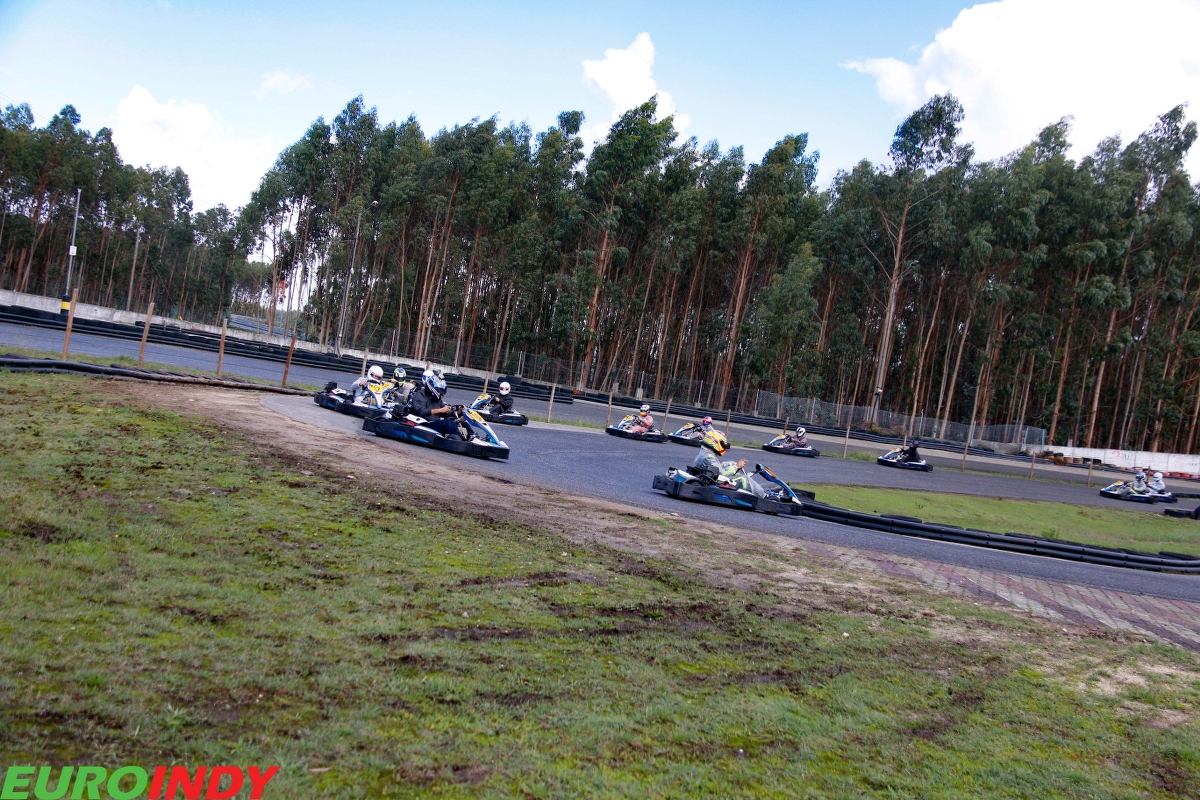 Linksport - Gold - Premium - Pro - Silver139