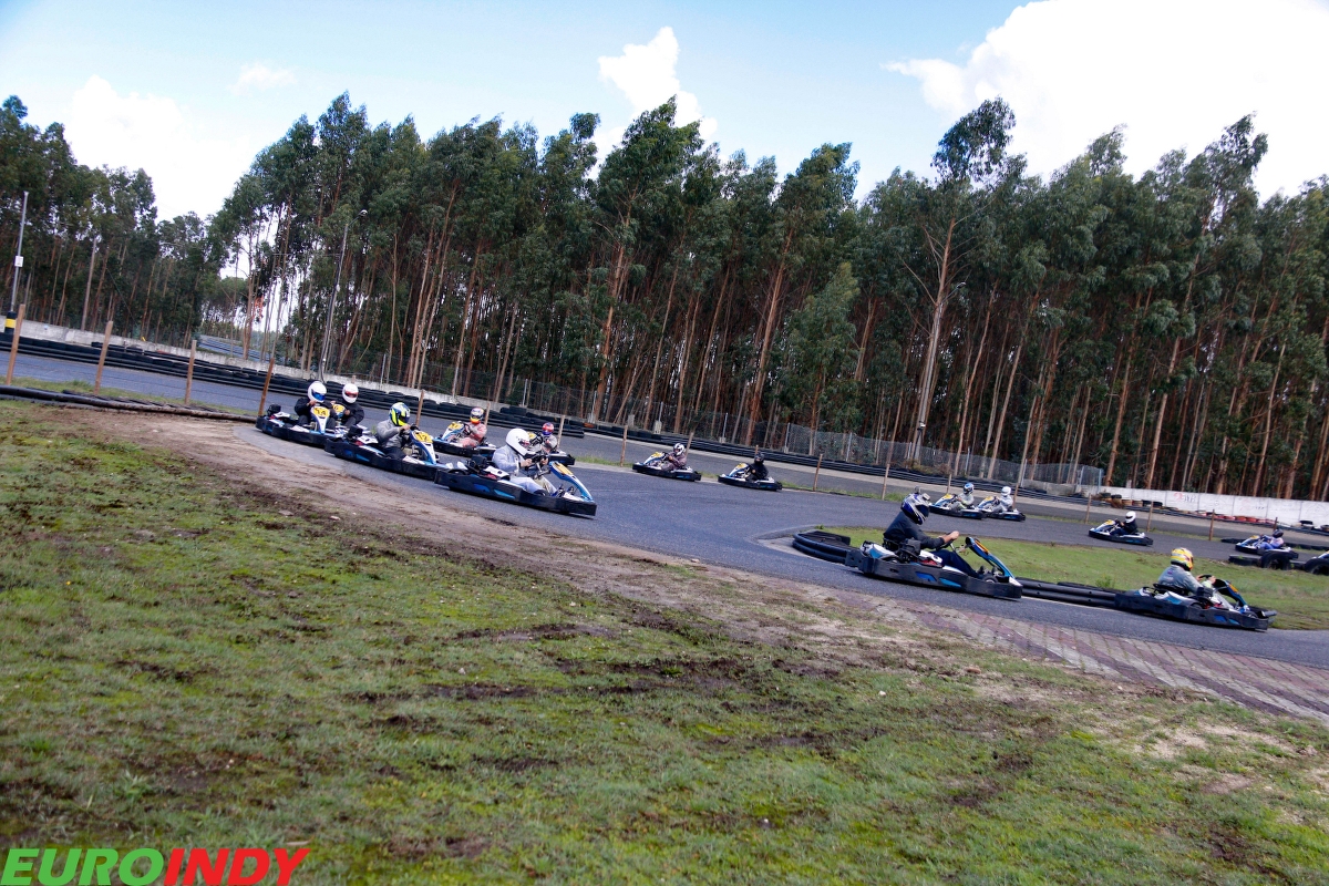 Linksport - Gold - Premium - Pro - Silver140