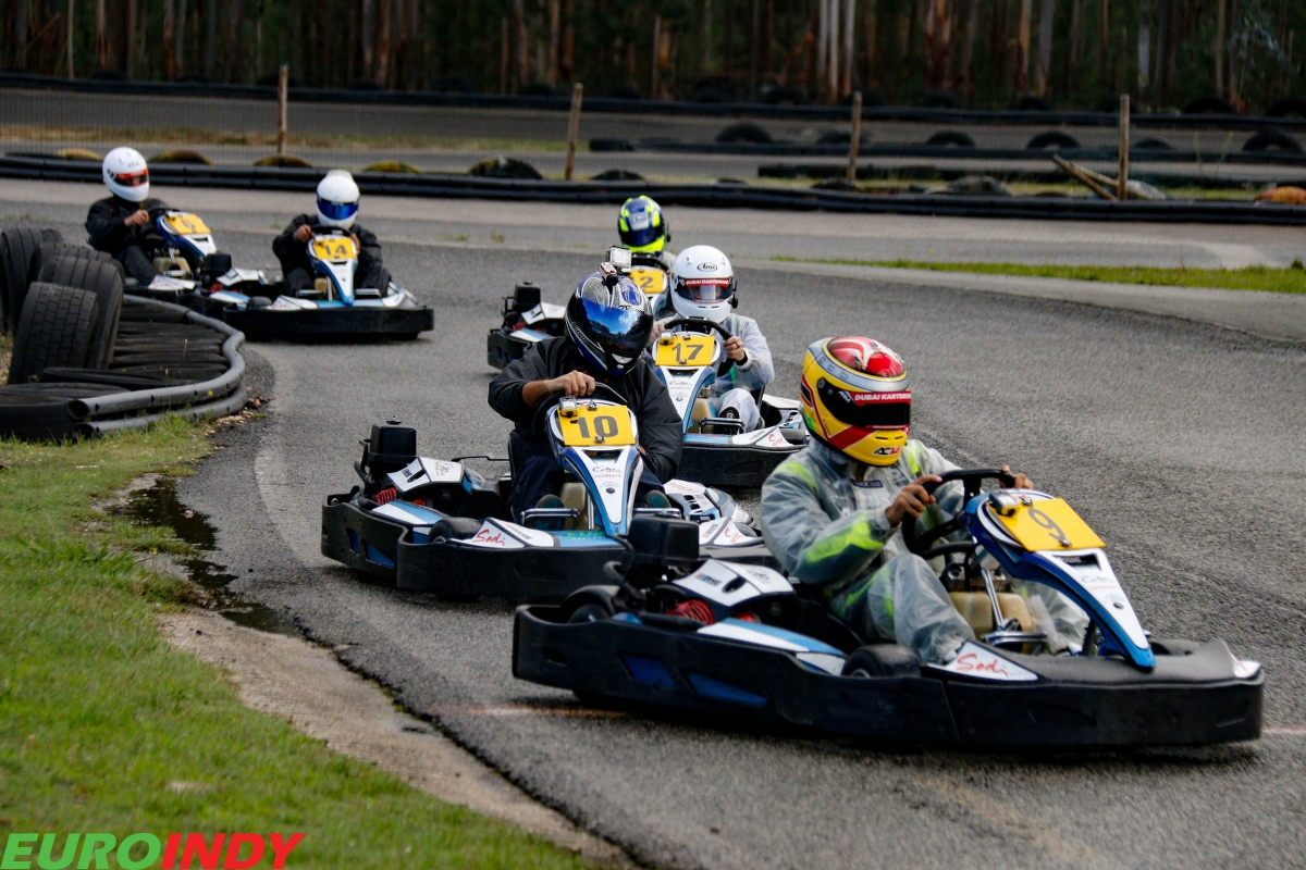 Linksport - Gold - Premium - Pro - Silver141