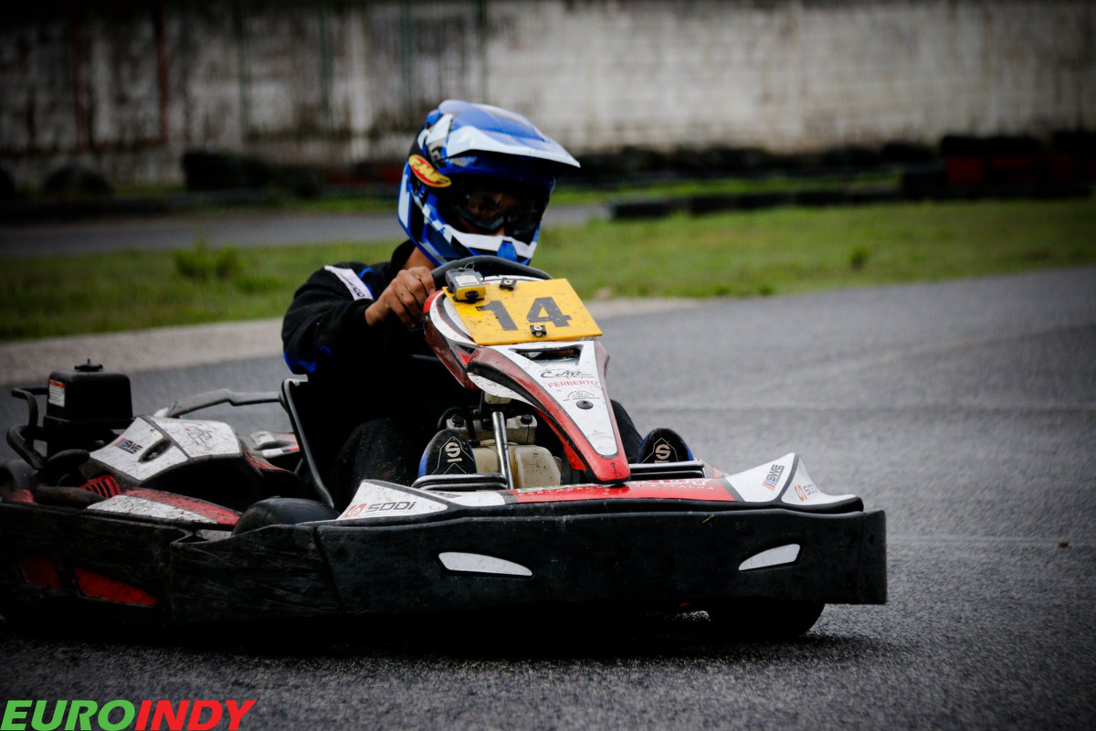 Linksport-  BRONZE -  ROOKIES -  SUPER ROOKIES81