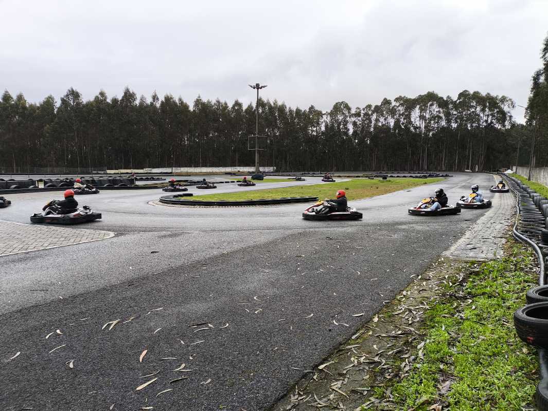 Abóboras Negras16